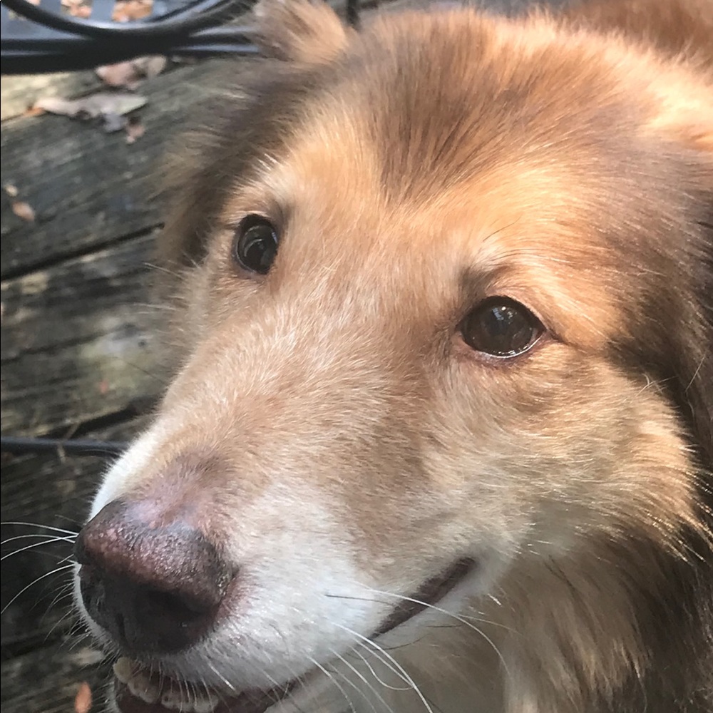 Meet your Posher, Nick